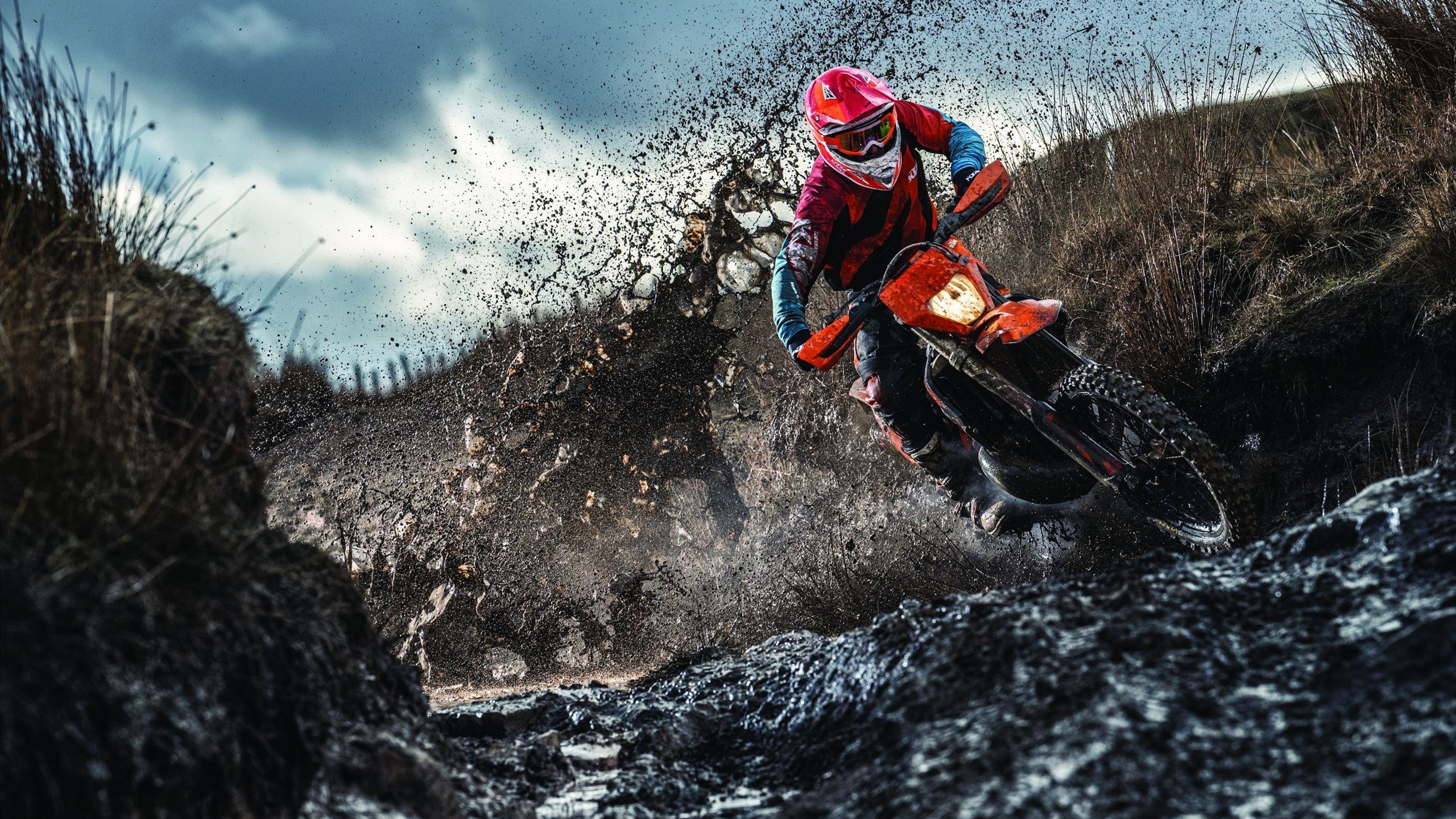 2026世界杯焦点战，太极虎的战术革命，韩国如何正面击溃阿森纳式足球