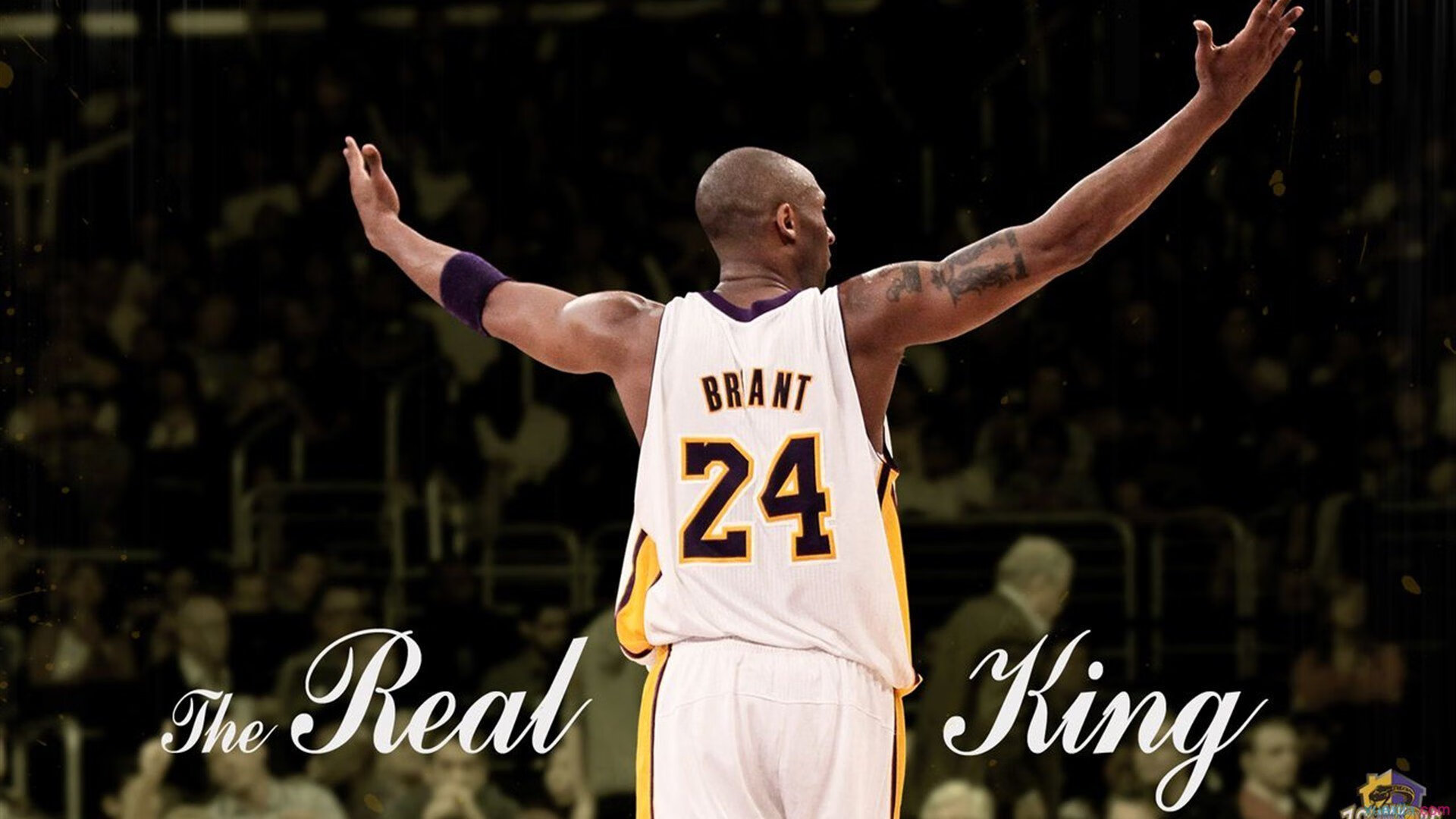 诺里斯状态火热,雷诺车队绝杀索伯车队—策略与勇气的双重奏鸣